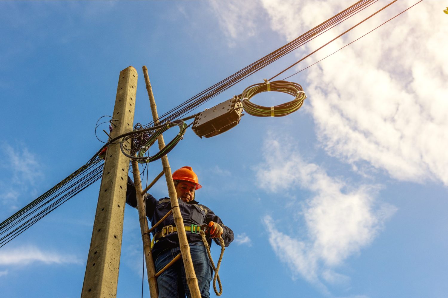 Web Icon Product image